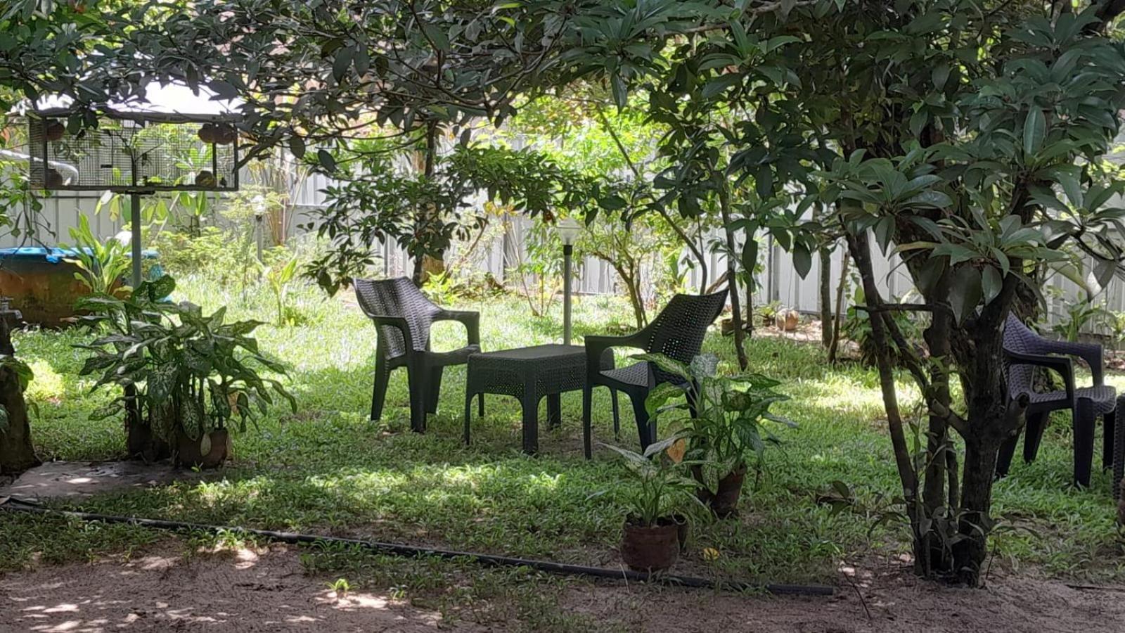 Marari Adonis Beach Villa Mararikulam Eksteriør bilde